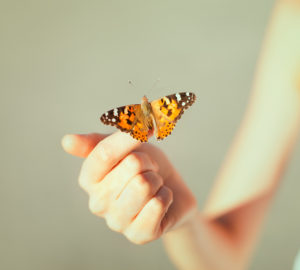 Naturkosmetik ohne Tierversuche