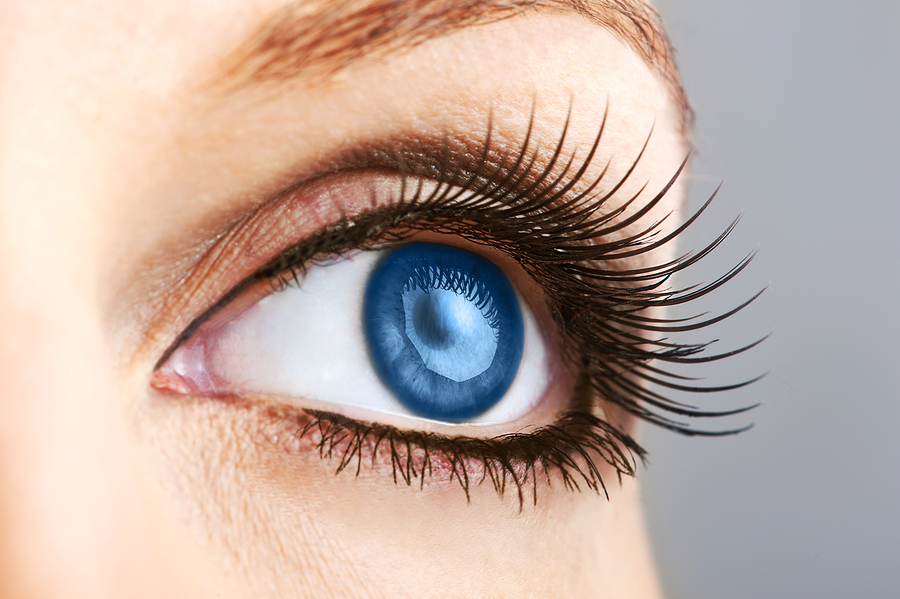 Close Up falsche Wimpern