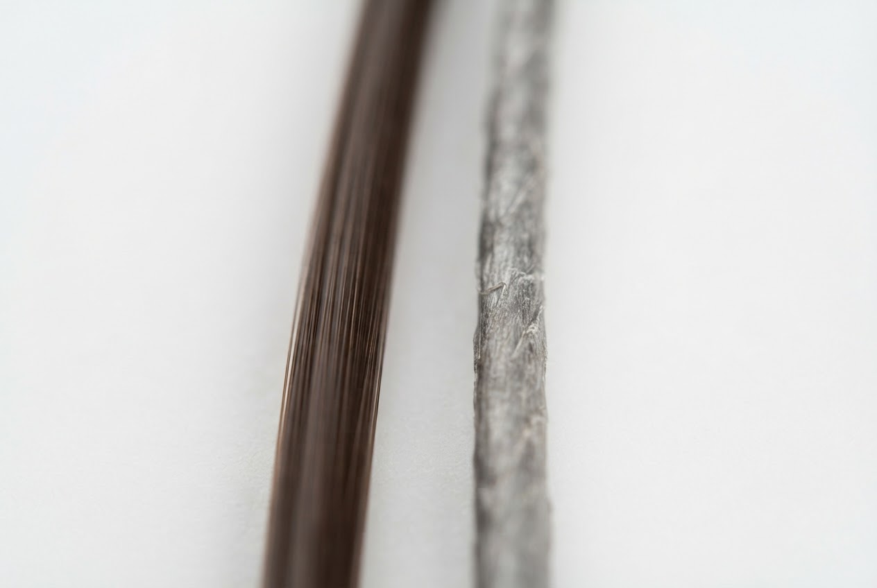 Side-by-side comparison of a dark pigmented hair strand and a gray hair strand, showing the gray strand as rougher and less shiny.